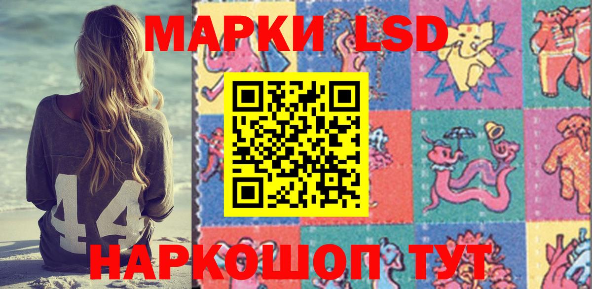 Наркотические марки 1500мкг  Наркотические марки 1500мкг  Нововоронеж  Марки N-bome  Вход с VPN 