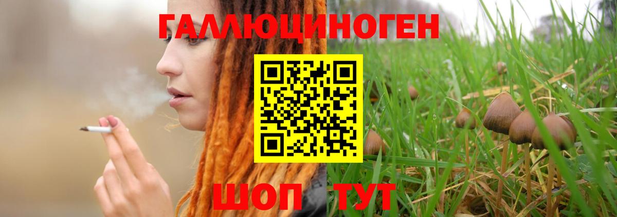 Псилоцибиновые грибы мицелий  Вход с VPN  Нововоронеж 